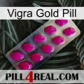 Vigra Gold Pill 09